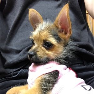 Meet your Posher, Jessica